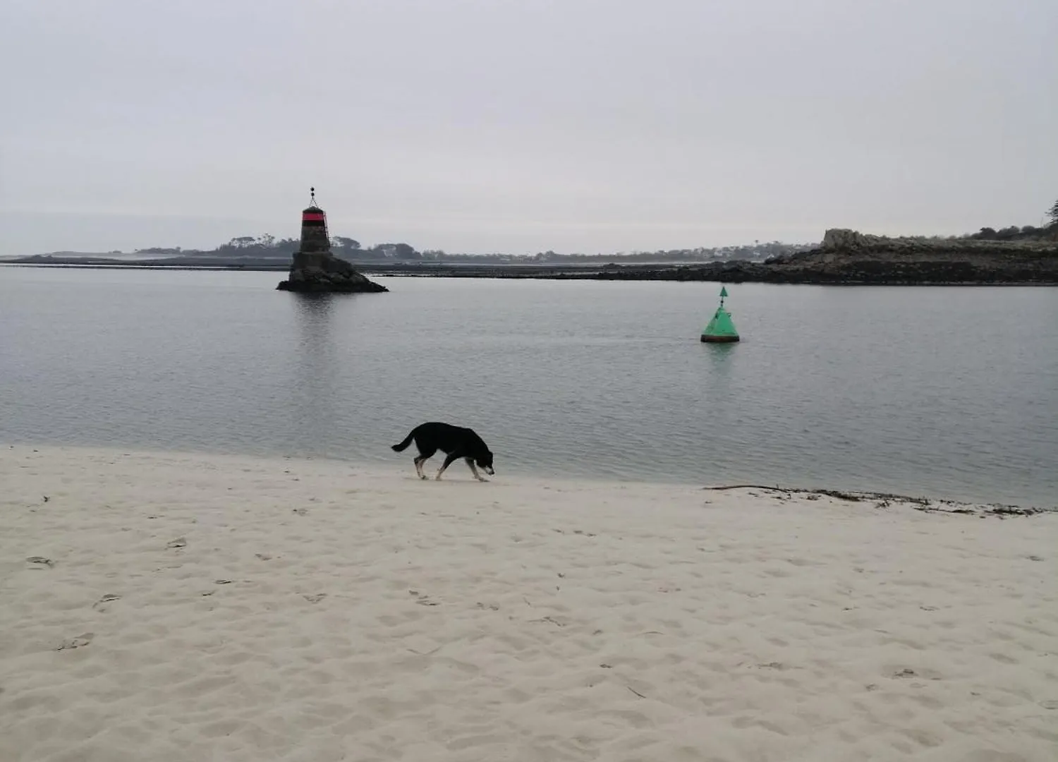 דירות Saint-Pabu  Ker Loic, Les Dunes, La Mer 0*, Saint-Pabu (Finistere) צרפת